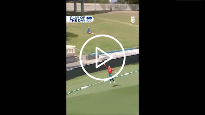 [Watch] Tasmania Player Plucks A One-Handed Stunner Near Boundary In Marsh Cup 2024
